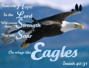 Soaring on eagle's wings